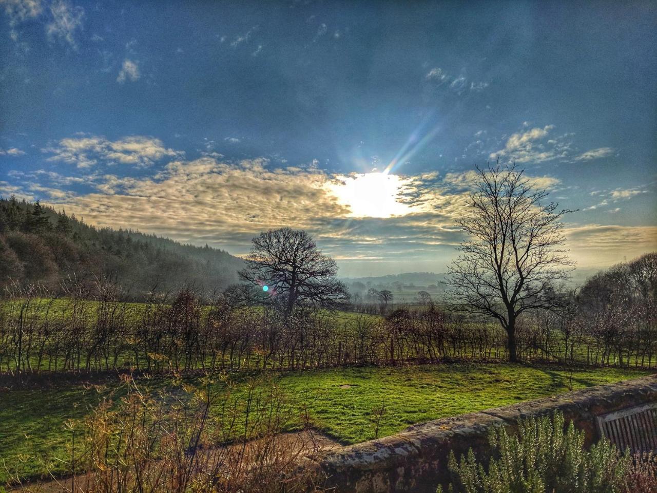 Park House Bed and Breakfast Ingleby Arncliffe Εξωτερικό φωτογραφία