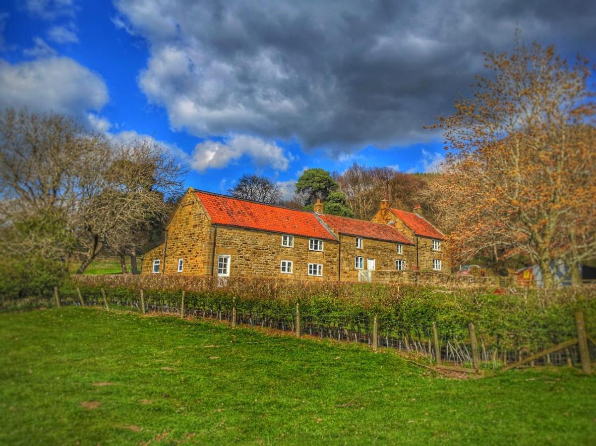 Park House Bed and Breakfast Ingleby Arncliffe Εξωτερικό φωτογραφία